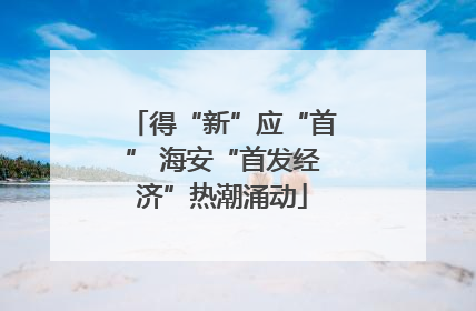 得“新”应“首” 海安“首发经济”热潮涌动