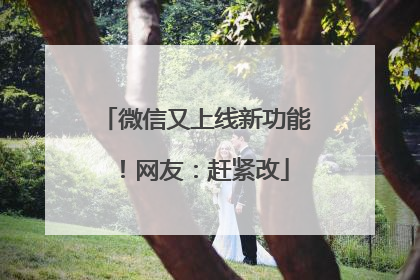 微信又上线新功能！网友：赶紧改