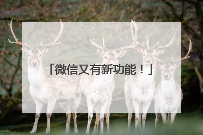 微信又有新功能！