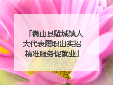 微山县驩城镇人大代表履职出实招精准服务促就业