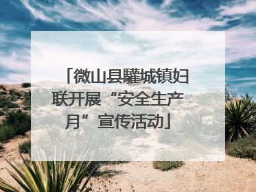 微山县驩城镇妇联开展“安全生产月”宣传活动