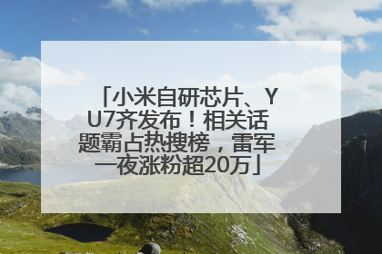 小米自研芯片、YU7齐发布！相关话题霸占热搜榜，雷军一夜涨粉超20万