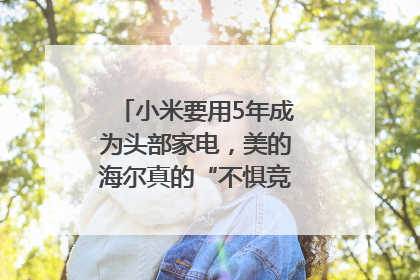 小米要用5年成为头部家电，美的海尔真的“不惧竞争”？｜热财经