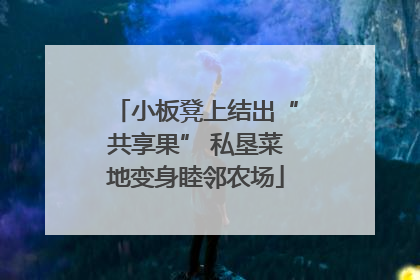 小板凳上结出“共享果” 私垦菜地变身睦邻农场