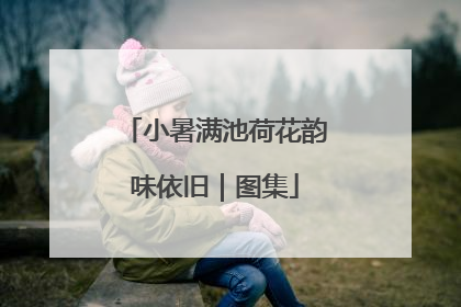 小暑满池荷花韵味依旧｜图集