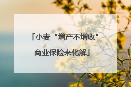 小麦“增产不增收” 商业保险来化解