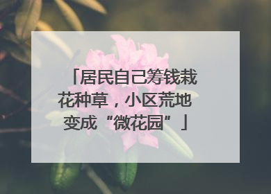 居民自己筹钱栽花种草，小区荒地变成“微花园”