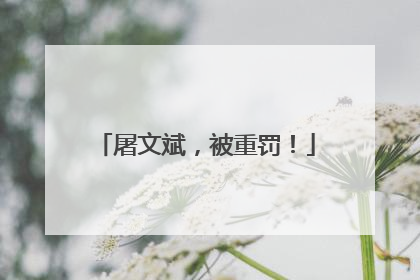 屠文斌，被重罚！