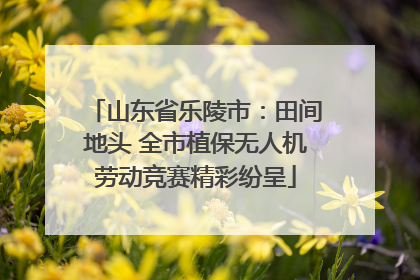 山东省乐陵市：田间地头 全市植保无人机劳动竞赛精彩纷呈