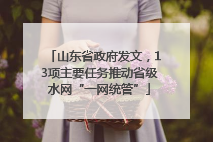 山东省政府发文，13项主要任务推动省级水网“一网统管”