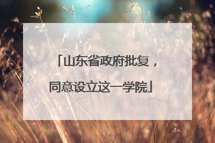 山东省政府批复，同意设立这一学院