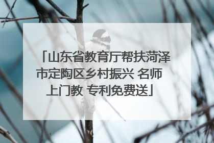 山东省教育厅帮扶菏泽市定陶区乡村振兴 名师上门教 专利免费送