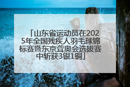 山东省运动员在2025年全国残疾人羽毛球锦标赛暨东京聋奥会选拔赛中斩获3银1铜