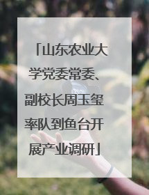 山东农业大学党委常委、副校长周玉玺率队到鱼台开展产业调研