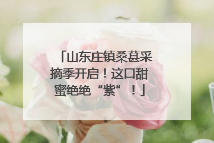 山东庄镇桑葚采摘季开启！这口甜蜜绝绝“紫”！