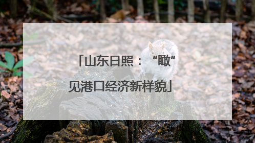 山东日照：“瞰”见港口经济新样貌