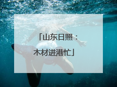 山东日照：木材进港忙