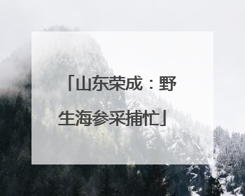 山东荣成：野生海参采捕忙