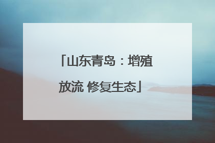 山东青岛：增殖放流 修复生态