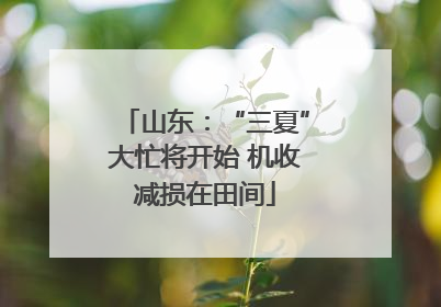 山东：“三夏”大忙将开始 机收减损在田间