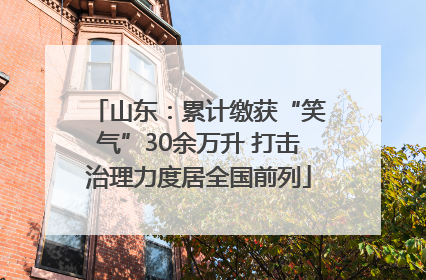 山东：累计缴获“笑气”30余万升 打击治理力度居全国前列