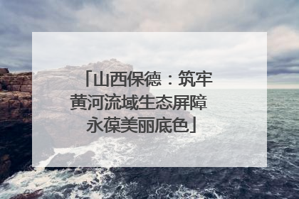 山西保德：筑牢黄河流域生态屏障 永葆美丽底色
