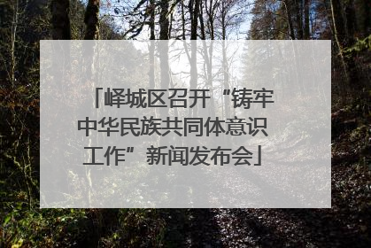 峄城区召开“铸牢中华民族共同体意识工作”新闻发布会