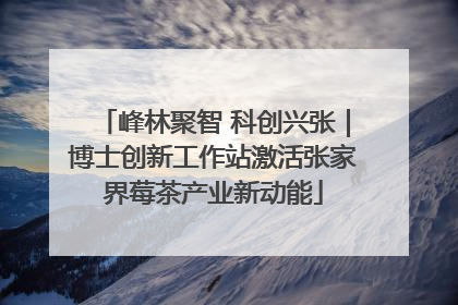 峰林聚智 科创兴张｜博士创新工作站激活张家界莓茶产业新动能