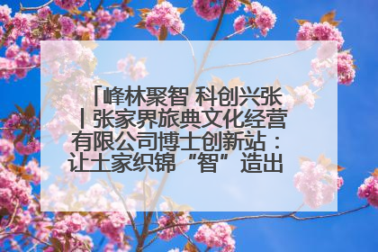 峰林聚智 科创兴张丨张家界旅典文化经营有限公司博士创新站：让土家织锦“智”造出非遗新传奇