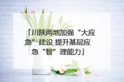 川陕两地加强“大应急”建设 提升基层应急“智”理能力