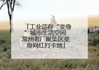 工业遗存“变身”城市生活空间 常州老厂聚集区变身网红打卡地