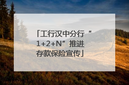 工行汉中分行“1+2+N”推进存款保险宣传