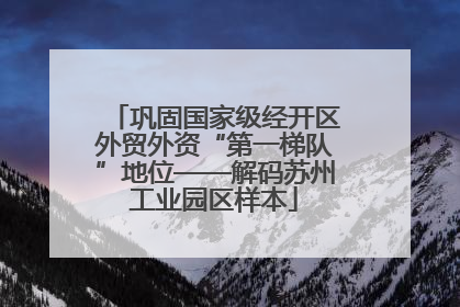 巩固国家级经开区外贸外资“第一梯队”地位——解码苏州工业园区样本