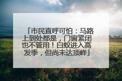 市民直呼可怕：马路上到处都是，门窗紧闭也不管用！白蚁进入高发季，但尚未达顶峰