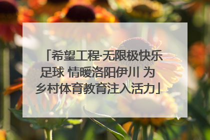 希望工程·无限极快乐足球 情暖洛阳伊川 为乡村体育教育注入活力
