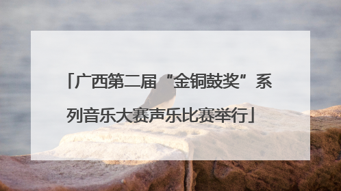 广西第二届“金铜鼓奖”系列音乐大赛声乐比赛举行