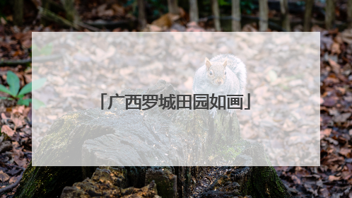 广西罗城田园如画