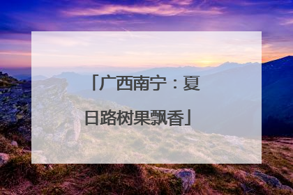 广西南宁：夏日路树果飘香