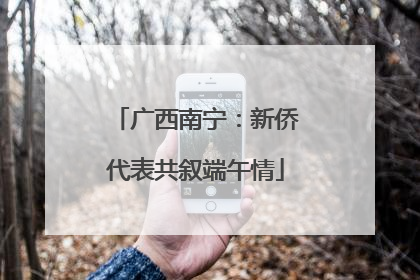 广西南宁：新侨代表共叙端午情