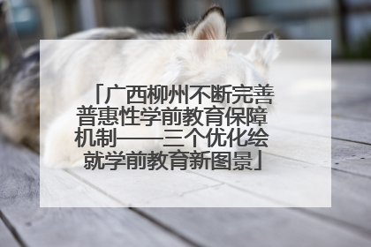 广西柳州不断完善普惠性学前教育保障机制——三个优化绘就学前教育新图景