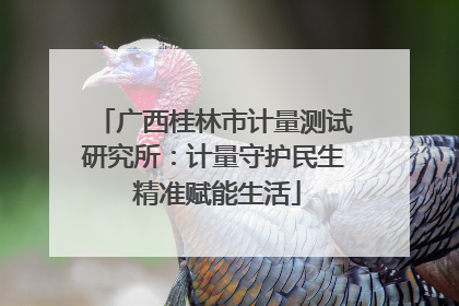 广西桂林市计量测试研究所：计量守护民生 精准赋能生活