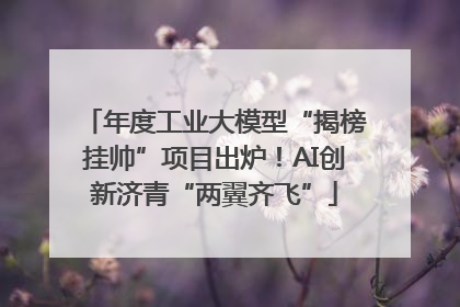 年度工业大模型“揭榜挂帅”项目出炉！AI创新济青“两翼齐飞”