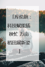 库伦旗：科技赋能插秧忙 万亩稻田展新姿