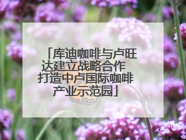 库迪咖啡与卢旺达建立战略合作 打造中卢国际咖啡产业示范园