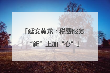 延安黄龙：税费服务“新”上加“心”