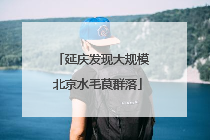 延庆发现大规模北京水毛茛群落