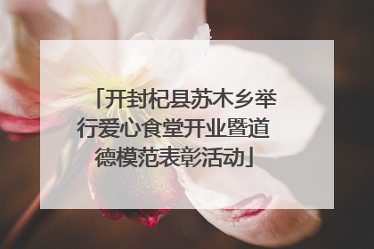 开封杞县苏木乡举行爱心食堂开业暨道德模范表彰活动