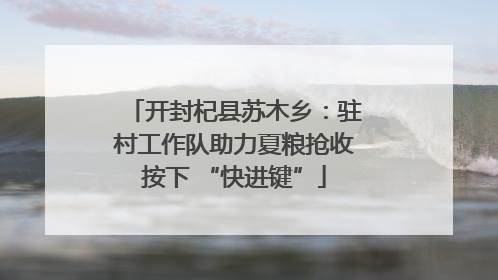 开封杞县苏木乡：驻村工作队助力夏粮抢收按下 “快进键”