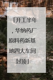 开工半年，华纳药厂原料药新基地四大车间封顶