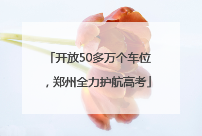 开放50多万个车位，郑州全力护航高考